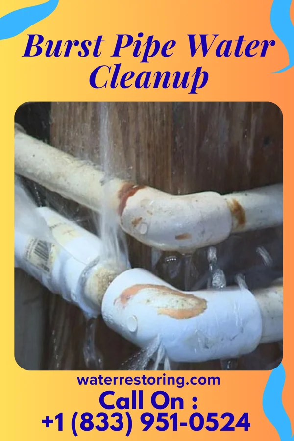Burst Pipe Water Cleanup in Shepherd, MI