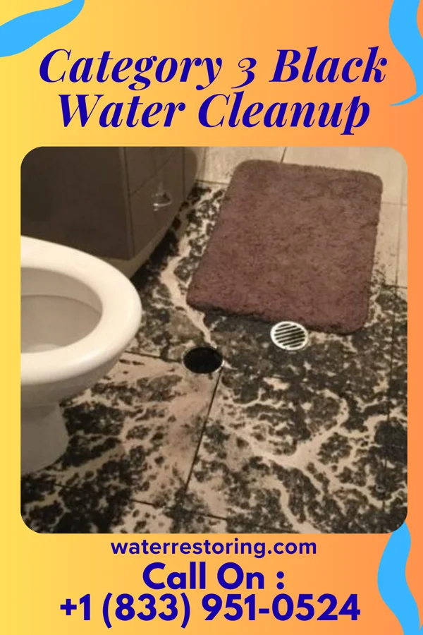 Category 3 Black Water Cleanup in Shepherd, MI