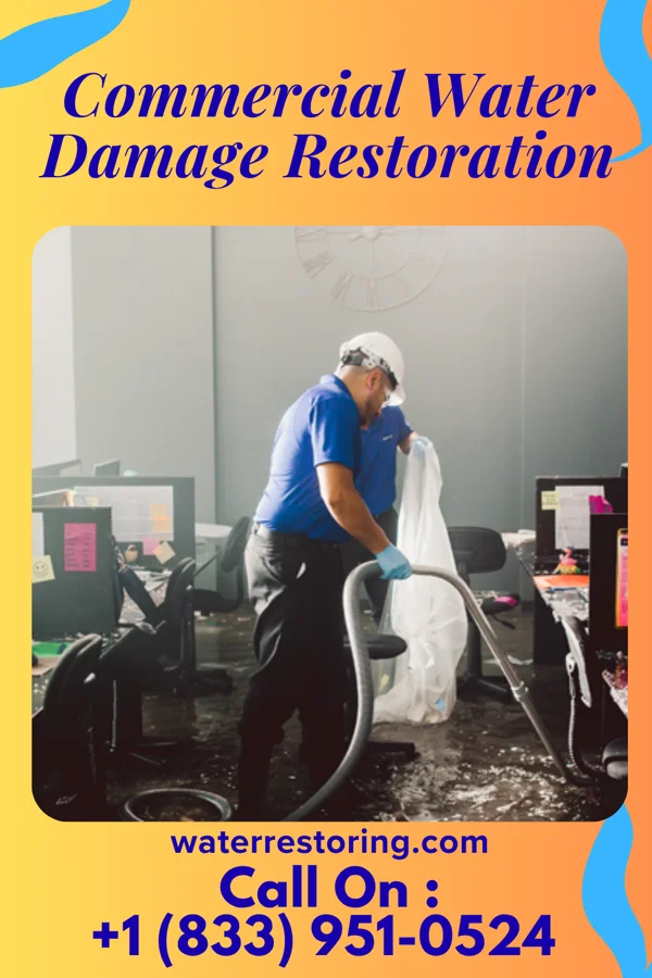 Commercial Water Damage Restoration in Shepherd, MI