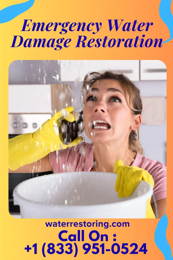 Emergency Water Damage Restoration in Shepherd, MI