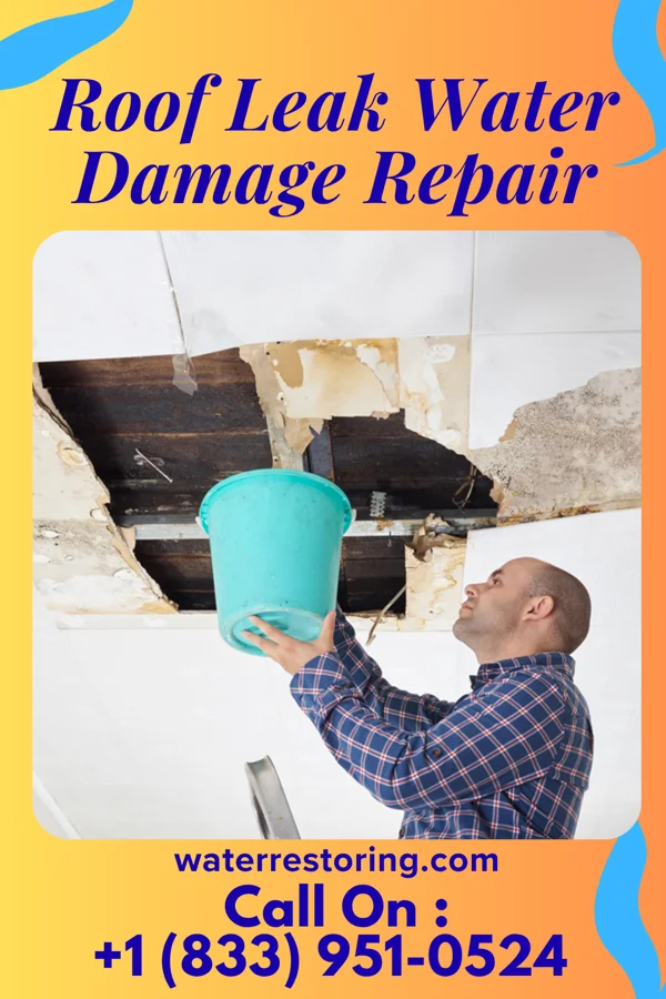 Roof Leak Water Damage Repair in Shepherd, MI