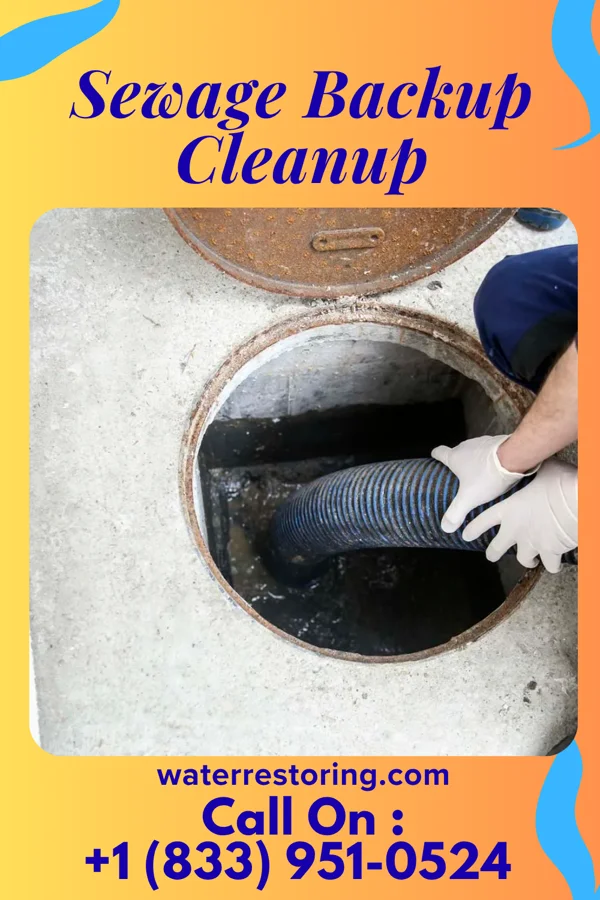 Sewage Backup Cleanup in Shepherd, MI