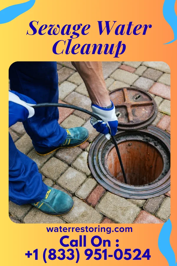 Sewage Water Cleanup in Shepherd, MI