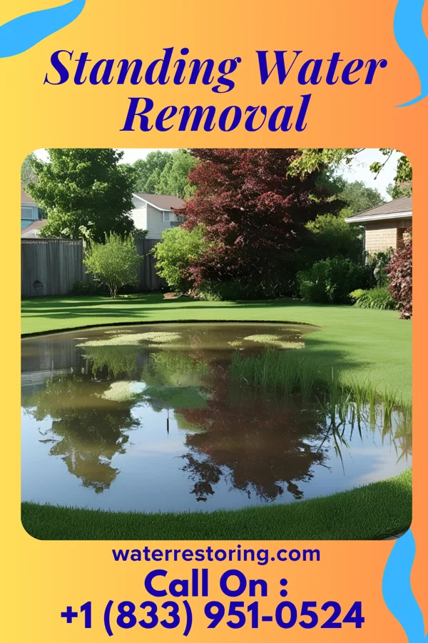 Standing Water Removal in Shepherd, MI